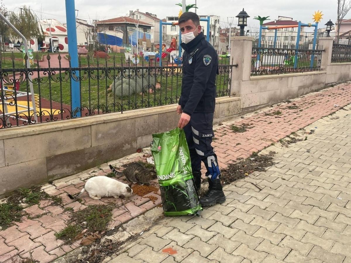 Ergene Belediyesi sokak hayvanlarını yalnız bırakmıyor