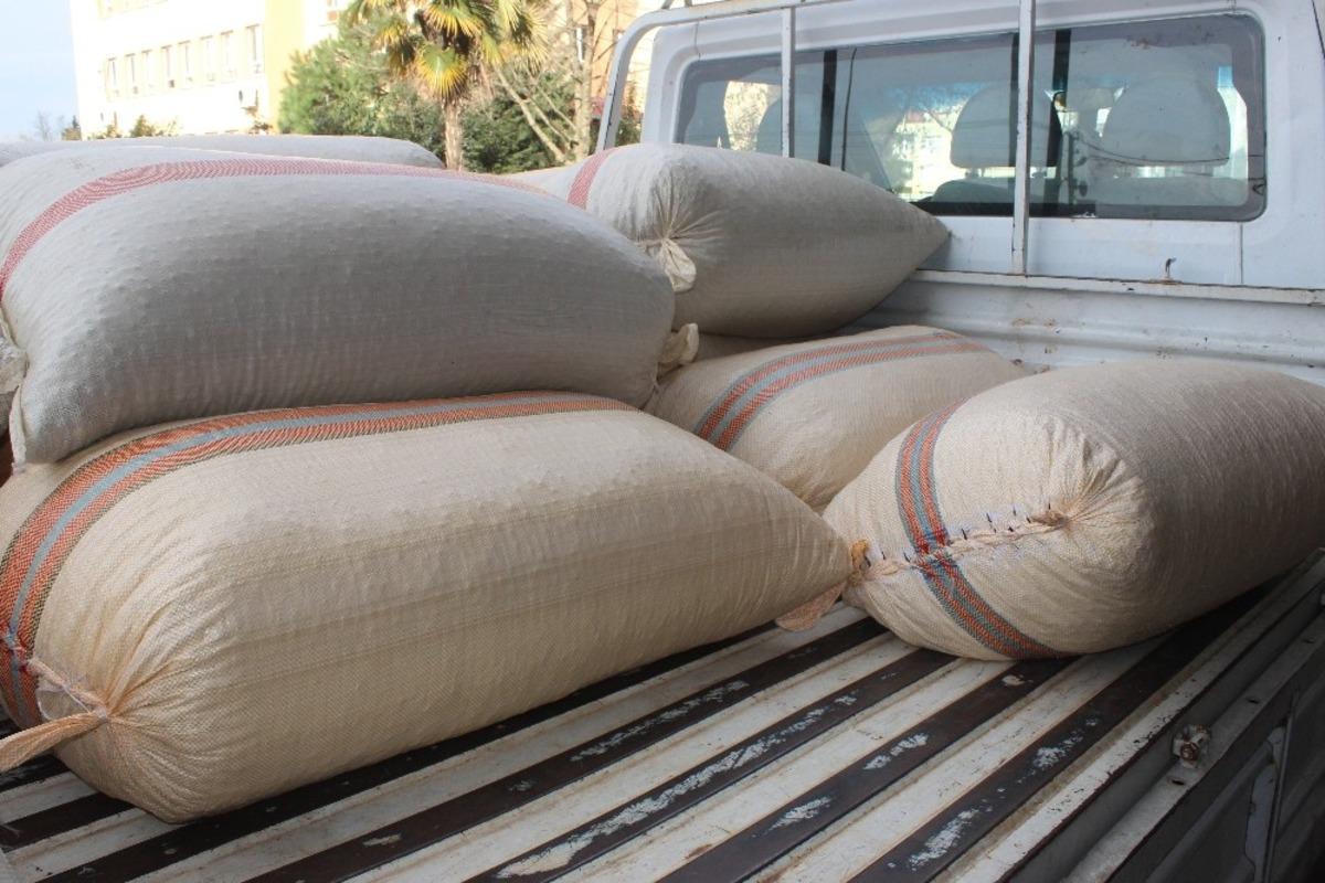 Giresun&rsquo;da serbest piyasada fındık fiyatları 23 lira 50 kuruş civarında seyrediyor