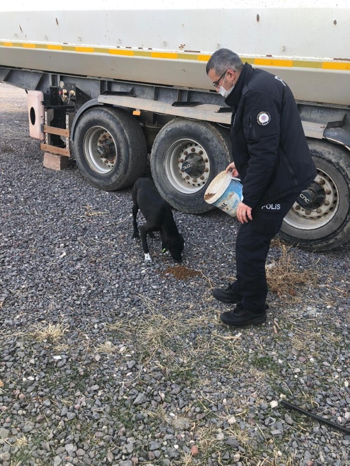 Yeşilhisar&rsquo;da sokak hayvanları unutulmadı