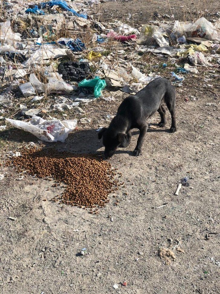 Yeşilhisar’da sokak hayvanları unutulmadı G2