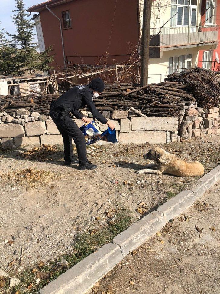 Yeşilhisar’da sokak hayvanları unutulmadı G3