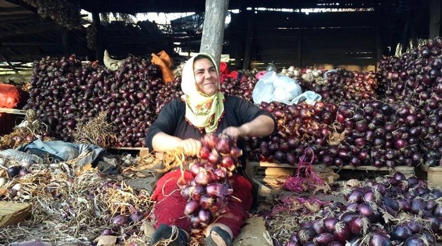 Kapıdağ Mor Soğanı yurt dışına ihra&ccedil; edilecek