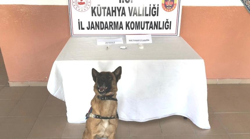 Narkotik k&ouml;peği Mola g&ouml;z a&ccedil;tırmadı
