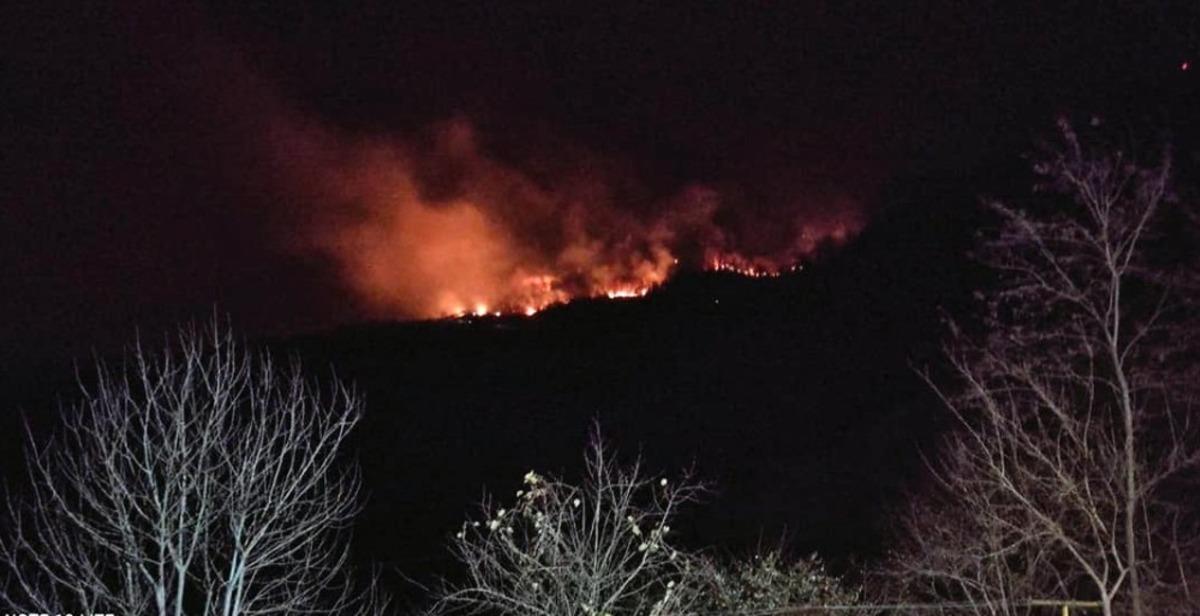 Giresun&rsquo;da orman yangını