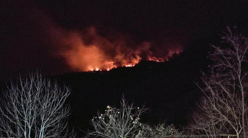 Giresun'da orman yangını! G&uuml;&ccedil;l&uuml;kle m&uuml;dahale ediliyor