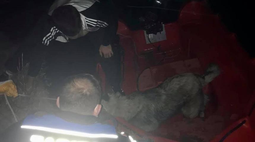 Yeşilırmak&rsquo;ta mahsur kalan k&ouml;peği zabıta kurtardı