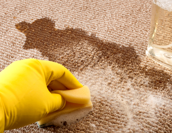 Suya sabuna dokunmadan halıları pırıl pırıl yapan y&ouml;ntem! Senelerce boşuna uğraştık! Bir fincan kuru nane ve bir bardak...