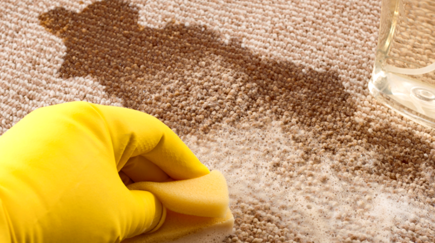 Suya sabuna dokunmadan halıları pırıl pırıl yapan y&ouml;ntem! Senelerce boşuna uğraştık! Bir fincan kuru nane ve bir bardak...