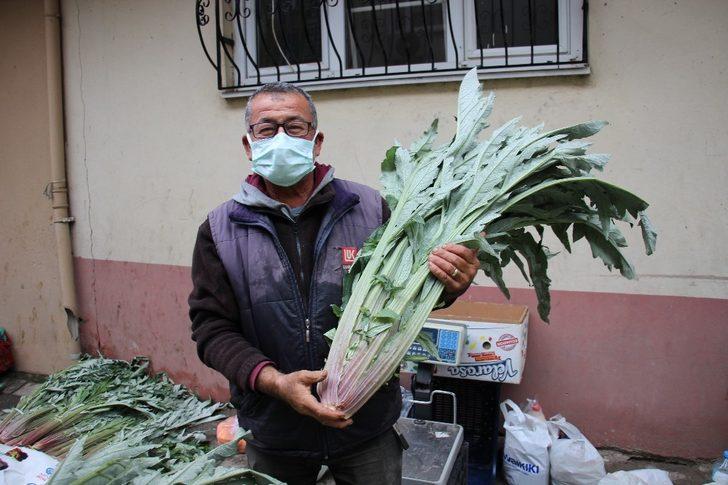 Enginar pazarın gözdesi haline geldi G1