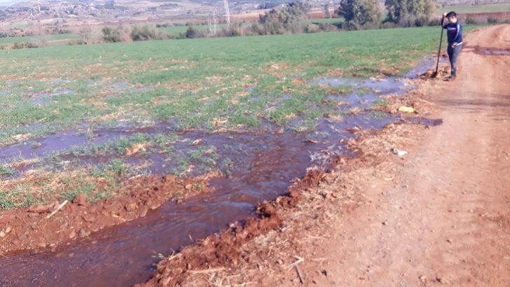 Osmaniye’de çiftçiler kuraklık nedeniyle buğday tarlalarını suladı G2