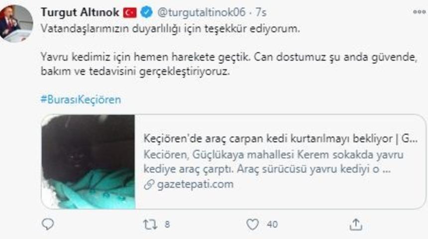 Yaralı kediye Ke&ccedil;i&ouml;ren Belediyesi sahip &ccedil;ıktı