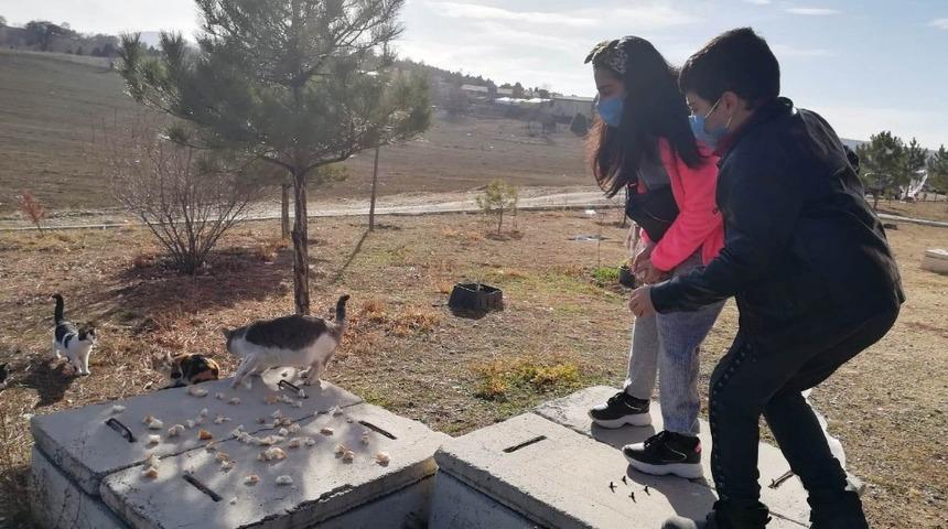 Anadolu Lisesi&rsquo;nde &ldquo;Sokak Hayvanlarını Besliyorum&rdquo; projesi