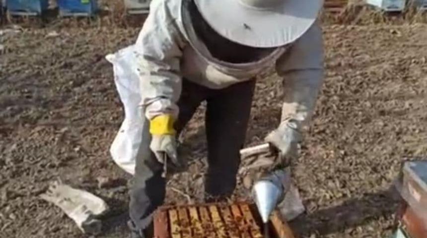 Hava sıcaklıkları bal üreticilerini endişelendirdi