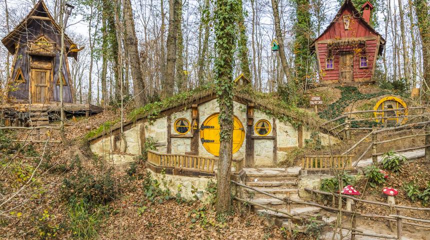 Kocaeli Ormanya: Avrupa'nın en büyük doğal yaşam parkı 