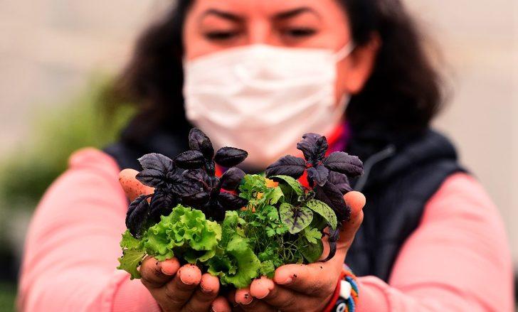 Antalya’nın balkonları fesleğen, marul maydanoz kokacak G1