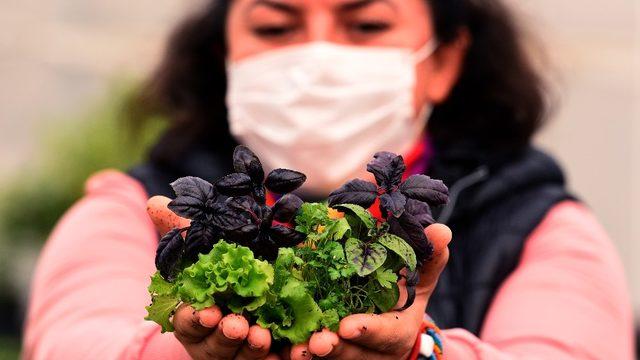 Antalya’nın balkonları fesleğen, marul maydanoz kokacak