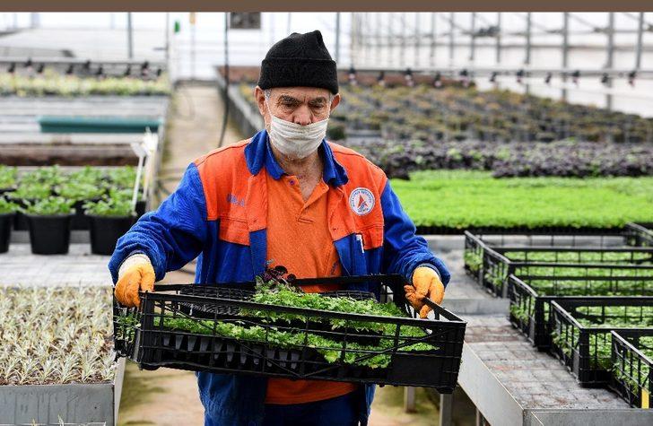 Antalya’nın balkonları fesleğen, marul maydanoz kokacak G3