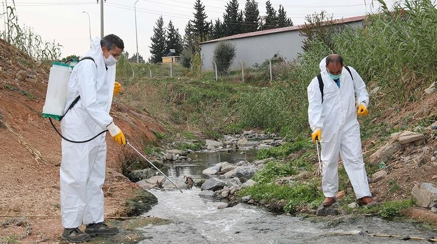 Adana’da sivrisinek ve haşereyle mücadele
