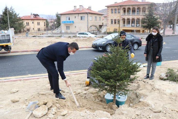 Ürgüp ‘te fidanlar Ekobox sistemi ile dikiliyor G2
