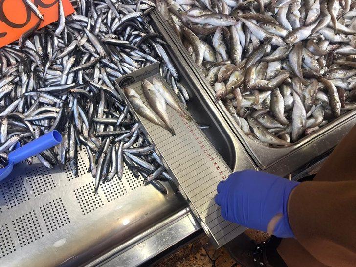 Ekipler balıkçı esnafını denetledi G2