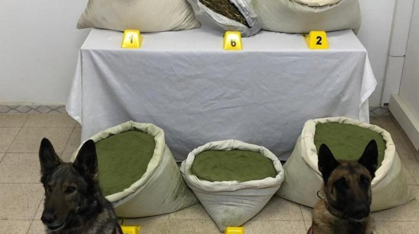 Bing&ouml;l&rsquo;de 117 kilogram esrar ele ge&ccedil;irildi