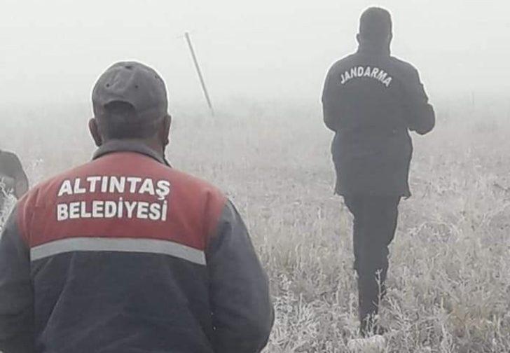 Yaralı köpek için seferber oldular G3