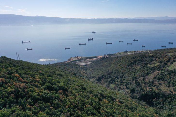 Hereke dolgu alanı 8 bin ağaçla yeşillendiriliyor G3