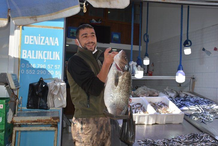 6 kiloluk levrek, 780 liradan satılıyor G3