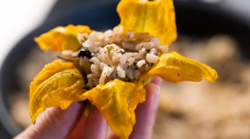 Gelinim Mutfakta zeytinyağlı kabak çiçeği dolması nasıl yapılır? Gelinim Mutfakta zeytinyağlı kabak çiçeği dolması tarifi nedir? Zeytinyağlı kabak çiçeği dolması malzemeleri nelerdir?