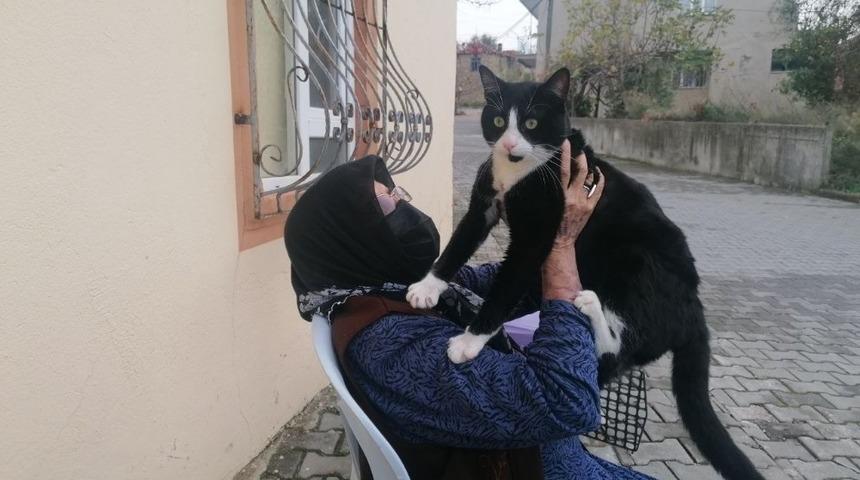 Kedisini severken sertliği hissetti, soluğu jandarmada aldı