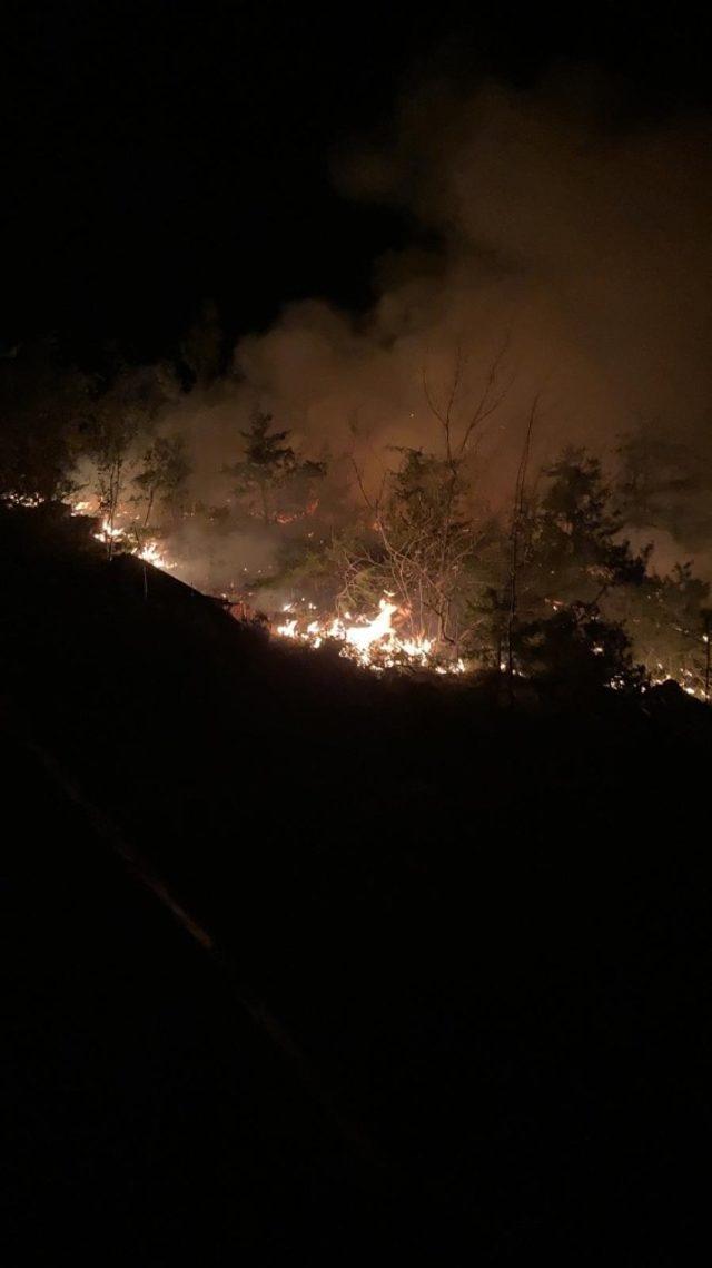 Adana’daki orman yangını söndürüldü