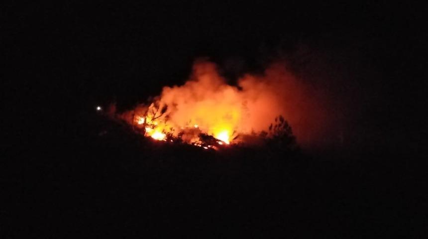 Adana&rsquo;daki orman yangını s&ouml;nd&uuml;r&uuml;ld&uuml;