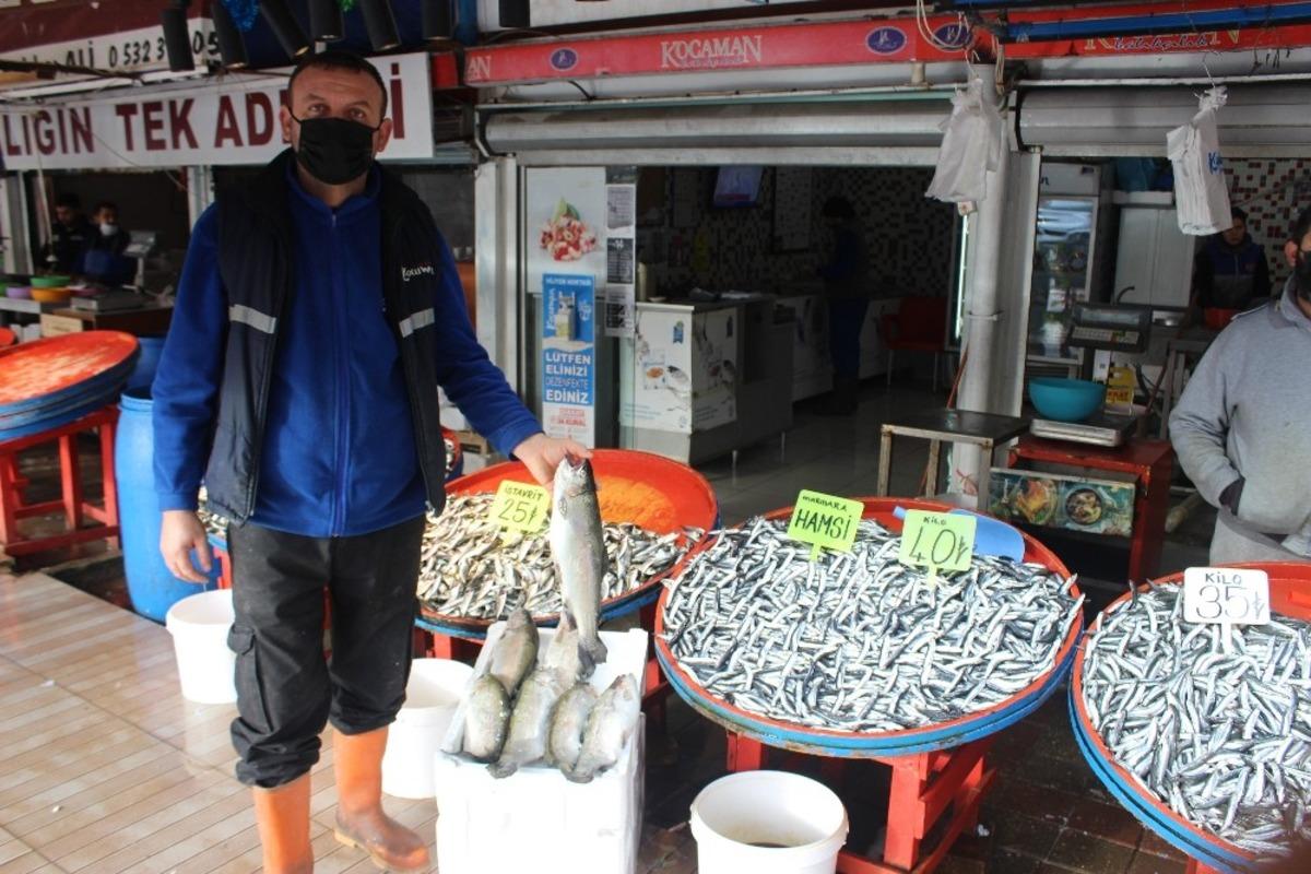 (&Ouml;zel) Sıcak havalar hamsi fiyatlarını vurdu