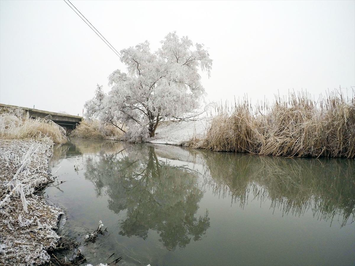 Doğu Anadolu'da dondurucu soğuklar yaşamı zorlaştırıyor