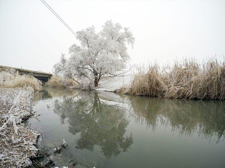 Doğu Anadolu'da dondurucu soğuklar yaşamı zorlaştırıyor G1