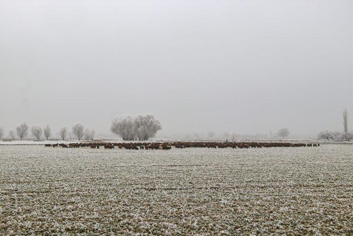 Doğu Anadolu'da dondurucu soğuklar yaşamı zorlaştırıyor G4
