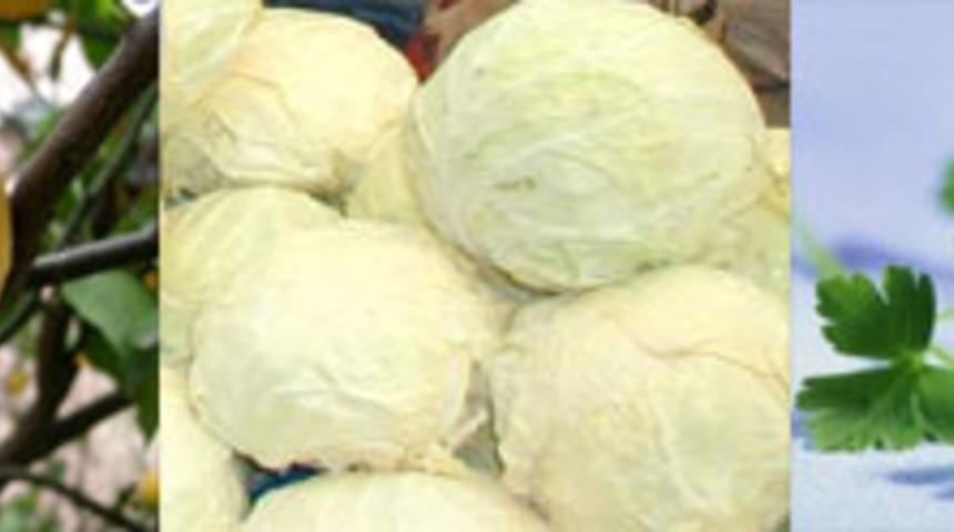 Zayıflatan Sebze K&uuml;r&uuml;