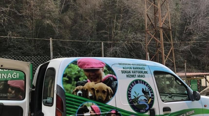 Sokak hayvanlarına ’özel araç hizmeti’