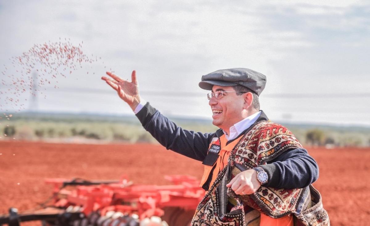 Kepez&rsquo;de  ekilen 540 d&ouml;n&uuml;m buğday filiz verdi