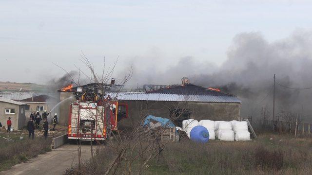 Çiftlikte çıkan yangın korkuttu