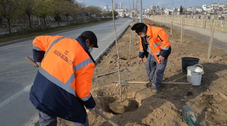 Dikilen y&uuml;zlerce fidan ile Bilecik ilkbahara hazırlanıyor