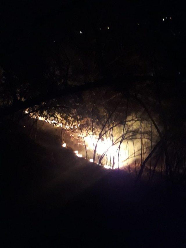 Giresun’da 4 günde 63 kırsal yangın meydana geldi