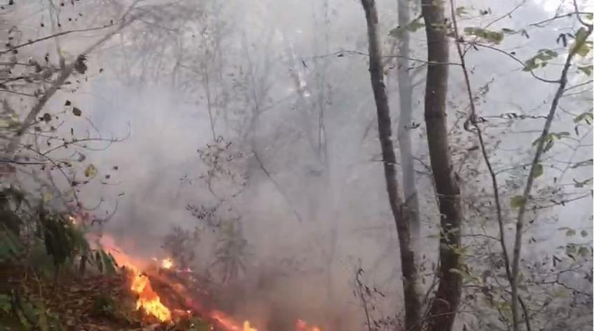 Giresun&rsquo;da 4 g&uuml;nde 63 kırsal yangın meydana geldi