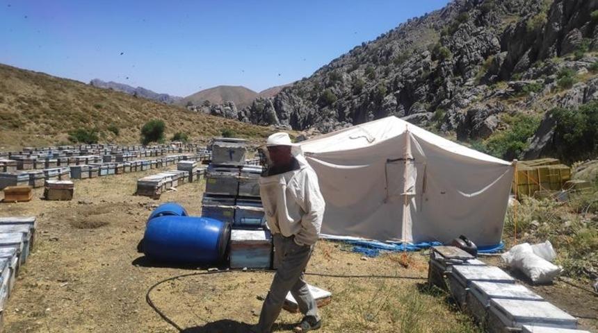 Arıcılık ve İpekb&ouml;cek&ccedil;iliğine destek