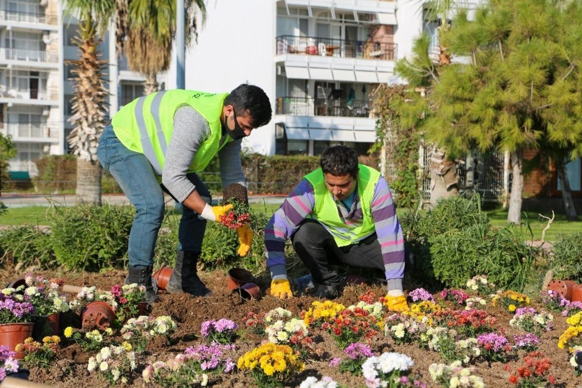 Erdemli Belediyesi yılda 20 bin bitki &uuml;retiyor