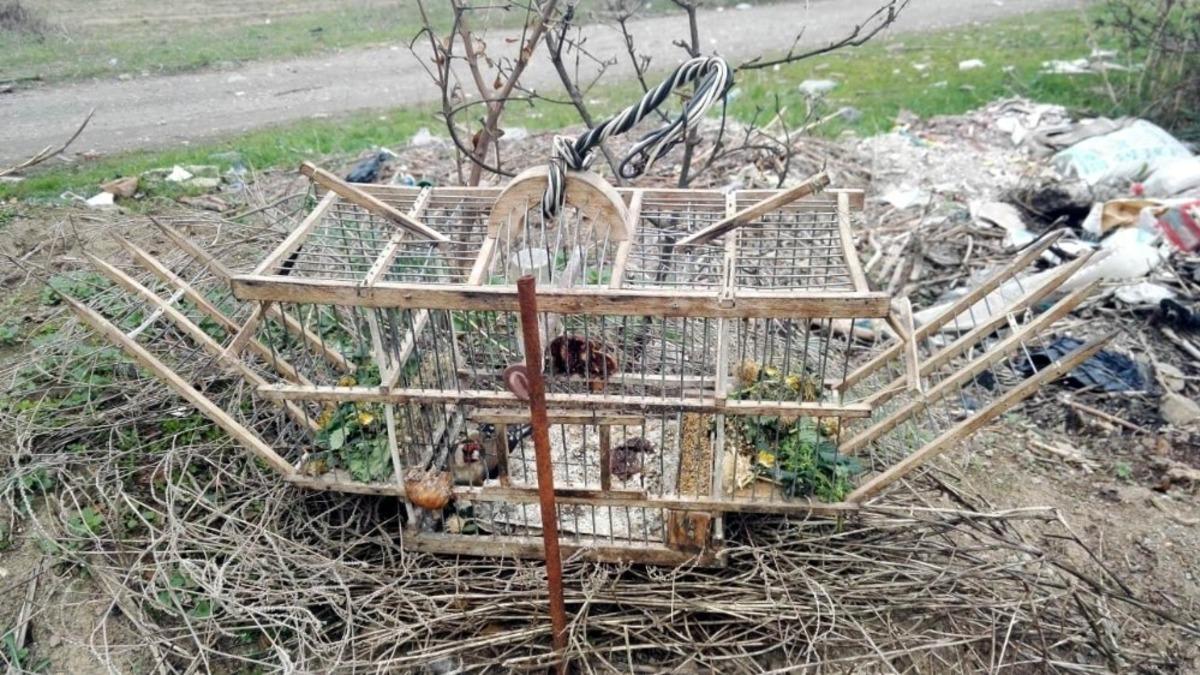 Tuzak kurarak saka kuşu avlayan iki kişi yakalandı
