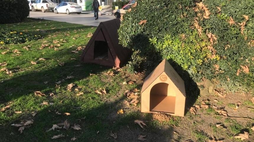 Sokak hayvanları i&ccedil;in 20 yeni kul&uuml;be