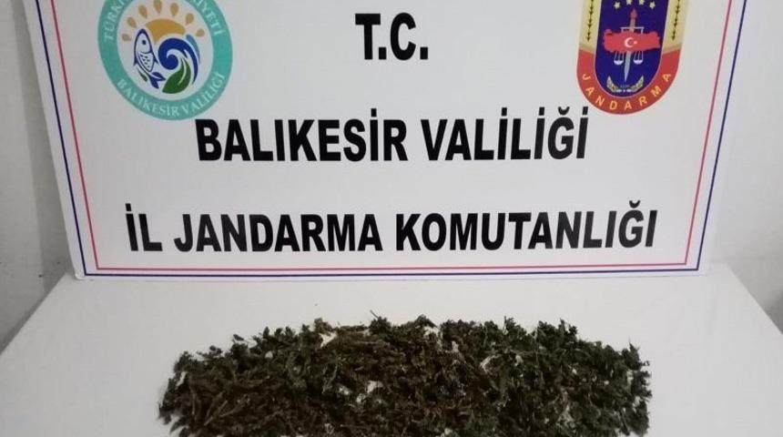 Ayvalık’ta uyuşturucu tacirleri jandarmadan kaçamadı