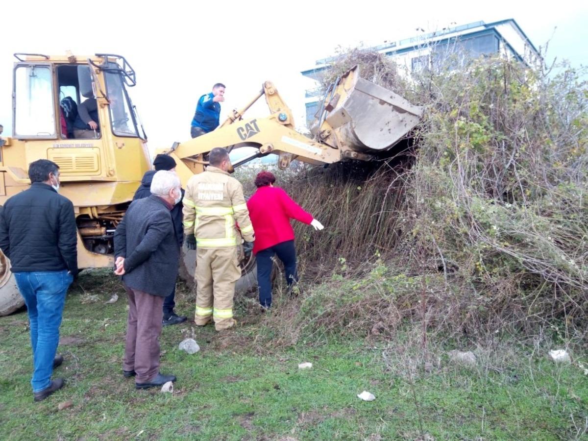&Ccedil;alılar arasından &ccedil;ıkamayan yavru k&ouml;peği itfaiye ekipleri dozerle &ccedil;ıkardı