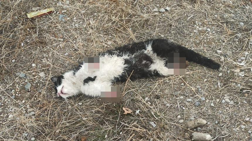 &Ccedil;orum&rsquo;daki kahreden g&ouml;r&uuml;nt&uuml;yle ilgili a&ccedil;ıklama